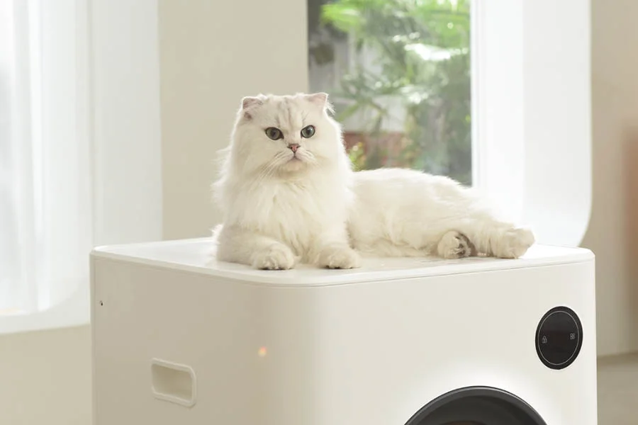 pet safe litterbox