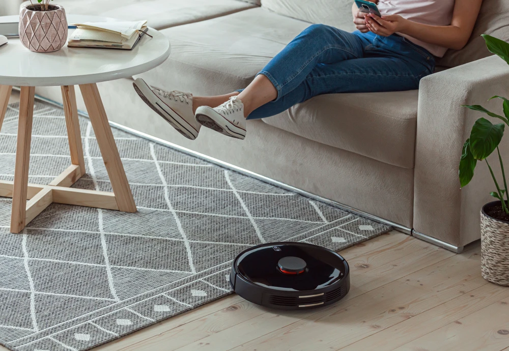 robot vacuum cleaner for small apartment